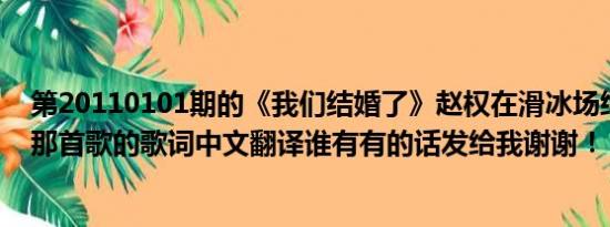 第20110101期的《我们结婚了》赵权在滑冰场给佳人唱的那首歌的歌词中文翻译谁有有的话发给我谢谢！！！！