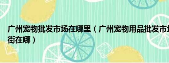 广州宠物批发市场在哪里（广州宠物用品批发市场或者一条街在哪）