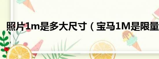 照片1m是多大尺寸（宝马1M是限量版吗）