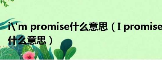 i'm promise什么意思（I promise you  是什么意思）