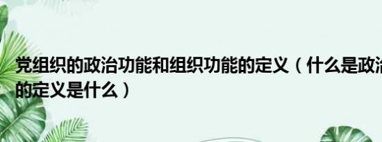 党组织的政治功能和组织功能的定义（什么是政治 请问政治的定义是什么）