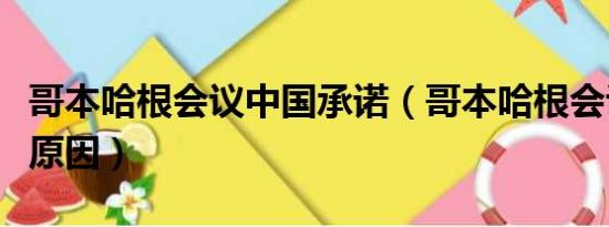 哥本哈根会议中国承诺（哥本哈根会议的具体原因）