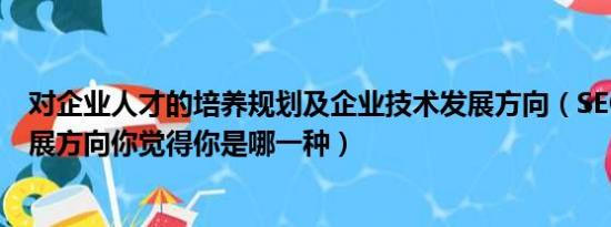 对企业人才的培养规划及企业技术发展方向（SEO人才的发展方向你觉得你是哪一种）