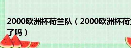 2000欧洲杯荷兰队（2000欧洲杯荷兰对捷克了吗）