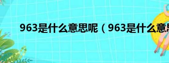 963是什么意思呢（963是什么意思）