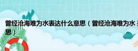 曾经沧海难为水表达什么意思（曾经沧海难为水 表达什么意思）