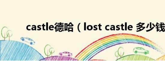 castle德哈（lost castle 多少钱）