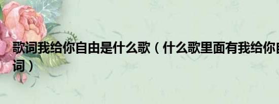 歌词我给你自由是什么歌（什么歌里面有我给你自由这句歌词）