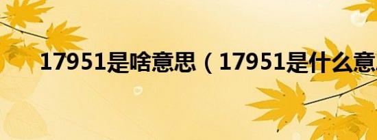 17951是啥意思（17951是什么意思）