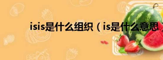 isis是什么组织（is是什么意思）