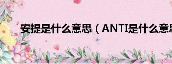 安提是什么意思（ANTI是什么意思）