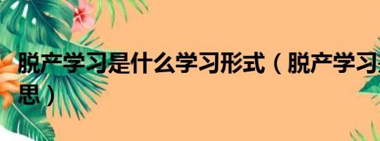 脱产学习是什么学习形式（脱产学习是什么意思）