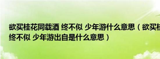 欲买桂花同载酒 终不似 少年游什么意思（欲买桂花同载酒终不似 少年游出自是什么意思）