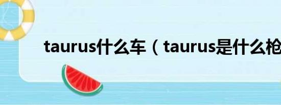 taurus什么车（taurus是什么枪）