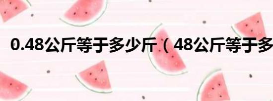 0.48公斤等于多少斤（48公斤等于多少斤）