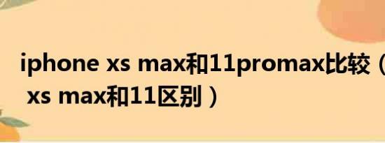 iphone xs max和11promax比较（iphone xs max和11区别）