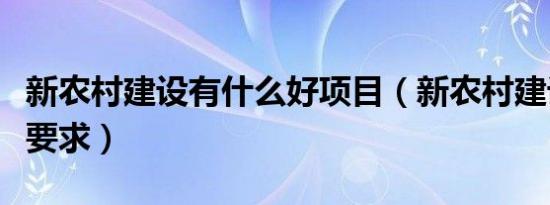 新农村建设有什么好项目（新农村建设有什么要求）