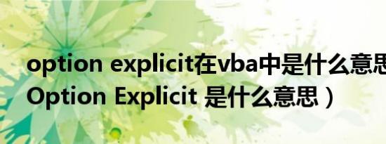 option explicit在vba中是什么意思（vb中Option Explicit 是什么意思）