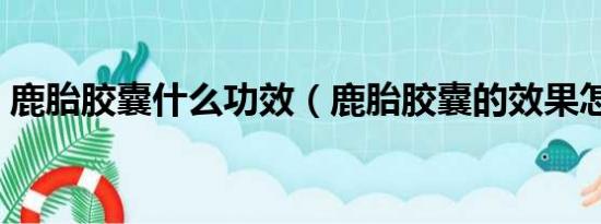 鹿胎胶囊什么功效（鹿胎胶囊的效果怎么样）