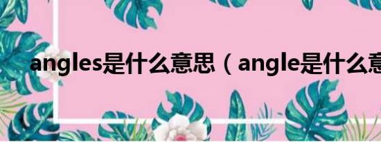 angles是什么意思（angle是什么意思）