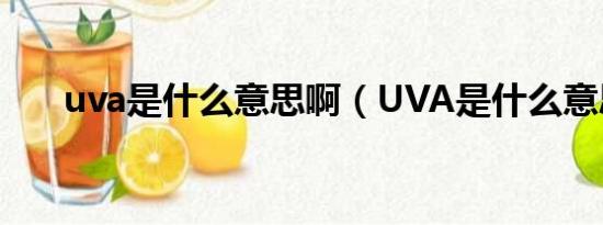 uva是什么意思啊（UVA是什么意思）