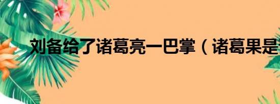 刘备给了诸葛亮一巴掌（诸葛果是谁）