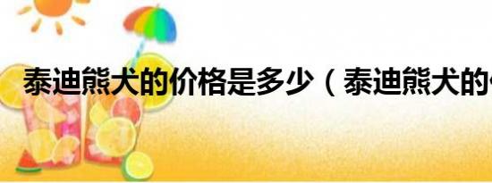 泰迪熊犬的价格是多少（泰迪熊犬的价格）