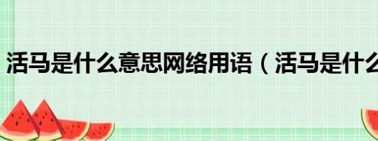 活马是什么意思网络用语（活马是什么意思）