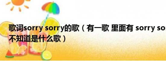 歌词sorry sorry的歌（有一歌 里面有 sorry sorry sorry 不知道是什么歌）