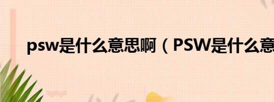 psw是什么意思啊（PSW是什么意思）