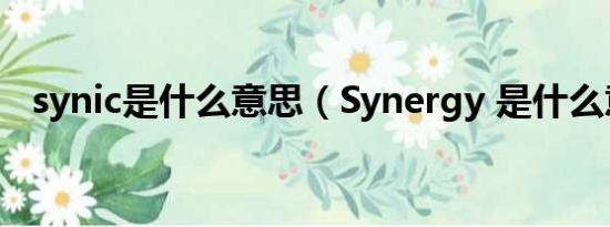 synic是什么意思（Synergy 是什么意思）