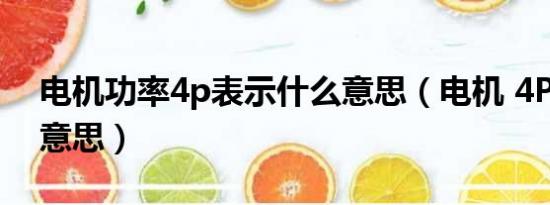 电机功率4p表示什么意思（电机 4P 是什么意思）