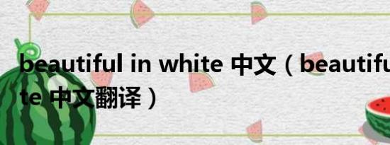 beautiful in white 中文（beautiful in white 中文翻译）