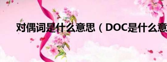 对偶词是什么意思（DOC是什么意思）