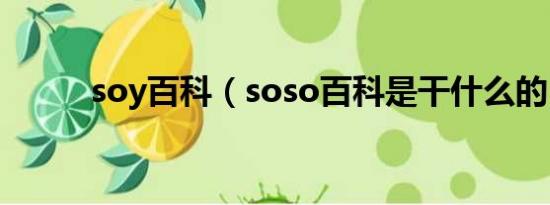 soy百科（soso百科是干什么的）