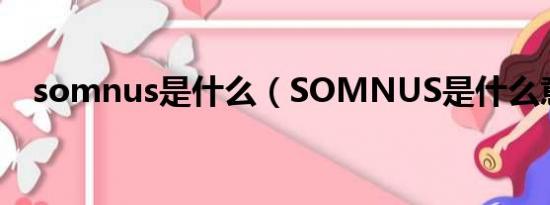 somnus是什么（SOMNUS是什么意思）