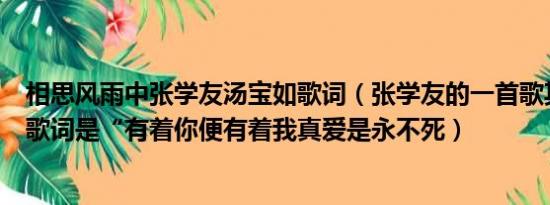 相思风雨中张学友汤宝如歌词（张学友的一首歌其中的一句歌词是“有着你便有着我真爱是永不死）