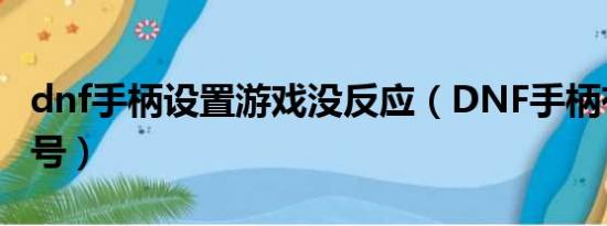 dnf手柄设置游戏没反应（DNF手柄有多少型号）