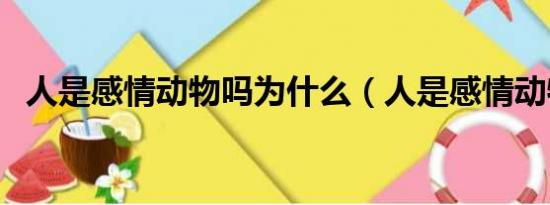 人是感情动物吗为什么（人是感情动物吗）