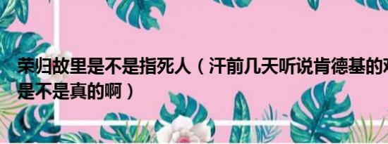 荣归故里是不是指死人（汗前几天听说肯德基的鸡吃死人啦是不是真的啊）