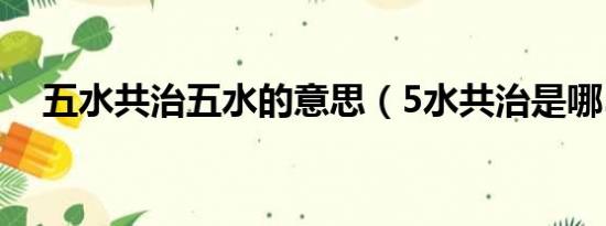 五水共治五水的意思（5水共治是哪5水）