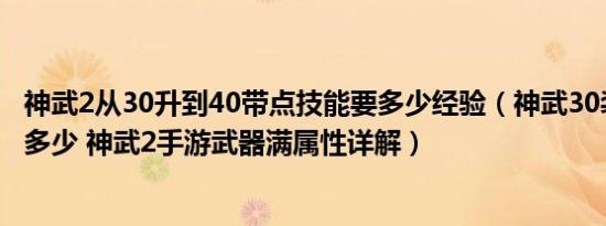 神武2从30升到40带点技能要多少经验（神武30装备满属性多少 神武2手游武器满属性详解）