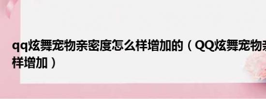 qq炫舞宠物亲密度怎么样增加的（QQ炫舞宠物亲密度怎么样增加）