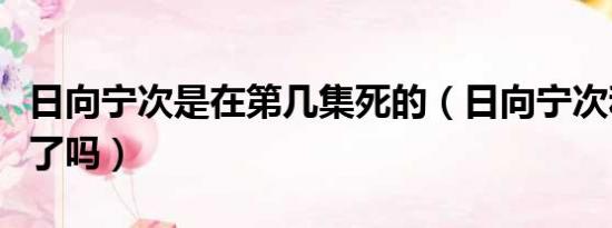 日向宁次是在第几集死的（日向宁次和丁次死了吗）