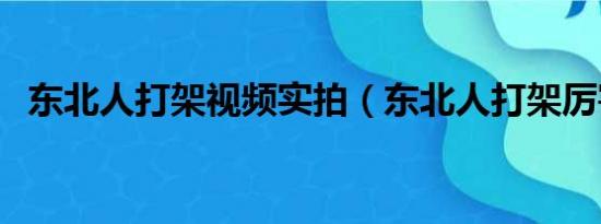 东北人打架视频实拍（东北人打架厉害吗）