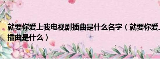 就要你爱上我电视剧插曲是什么名字（就要你爱上我电视剧插曲是什么）