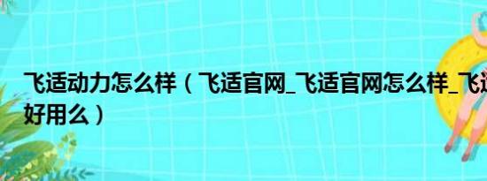 飞适动力怎么样（飞适官网_飞适官网怎么样_飞适官网产品好用么）