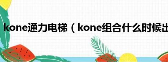 kone通力电梯（kone组合什么时候出道的）