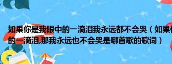 如果你是我眼中的一滴泪我永远都不会哭（如果你是我眼中的一滴泪,那我永远也不会哭是哪首歌的歌词）