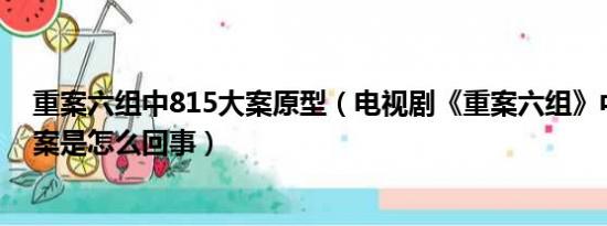重案六组中815大案原型（电视剧《重案六组》中的815大案是怎么回事）